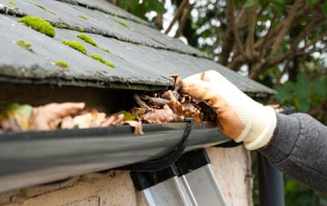 gutter cleaning Dunmoyle, Omagh