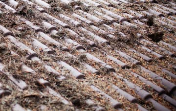 Dunmoyle roof cleaning companies